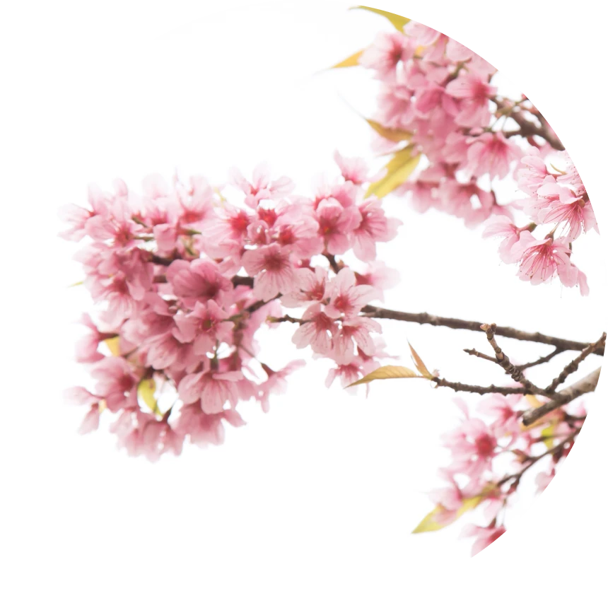 adobestock_383532600_2